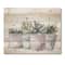 Designart - Cactus and Succulent House Plants III - Botanical Print on Natural Pine Wood